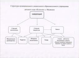 Структура и органы управления МДОУ д/с "Колосок" с. Медведск